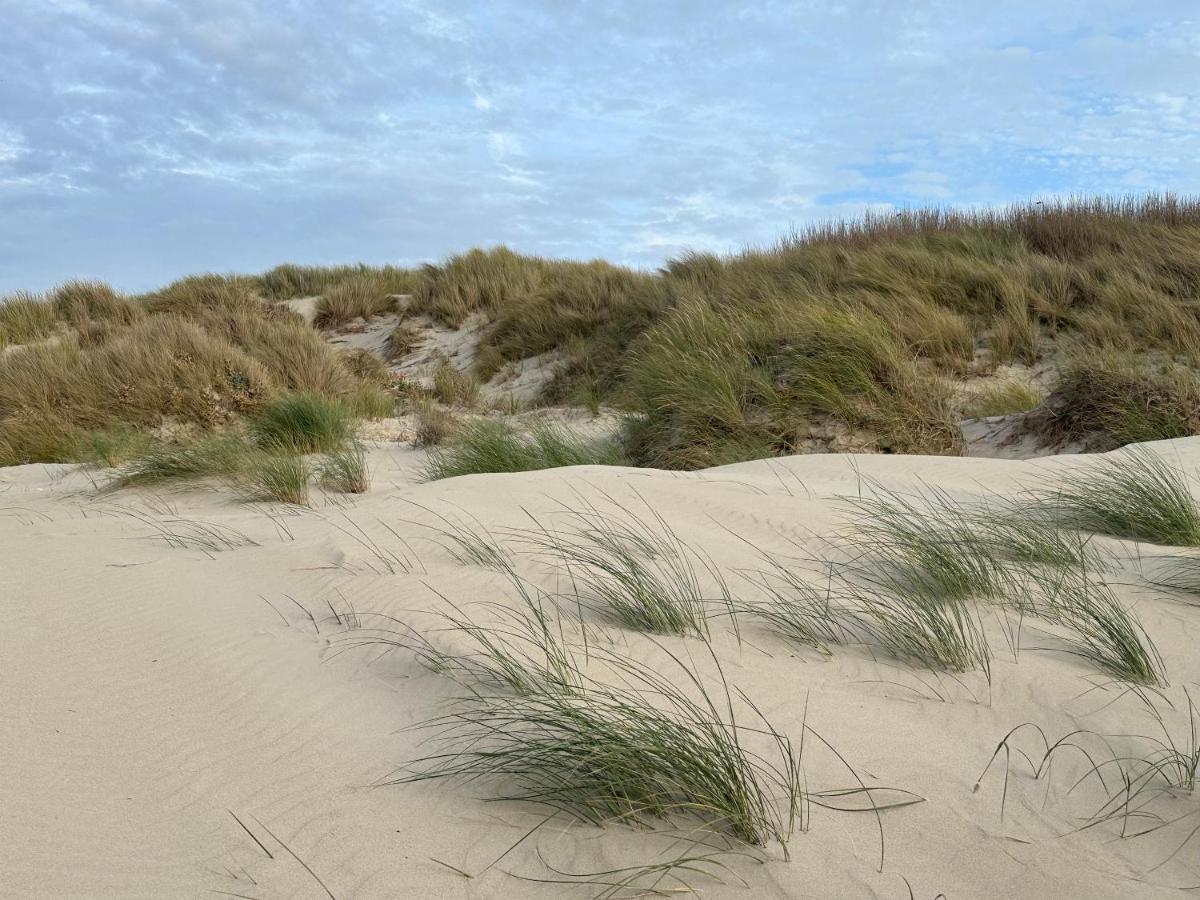 Appartement Plage Merlimont 10 Mn Berck Le Touquet Avec Jardin Eksteriør bilde